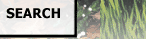 Search this site