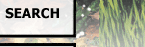 Search this site